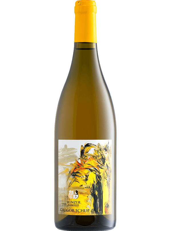 Read more about the article Chardonnay Specula No. 11
