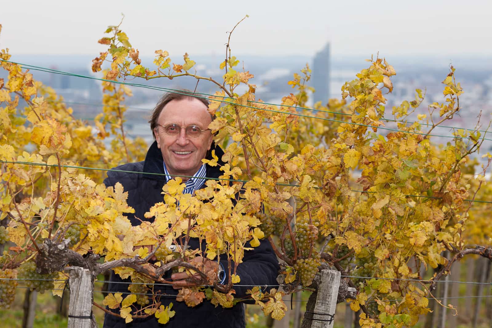 Weingut Mayer am Pfarrplatz, Wien